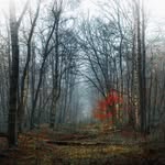 Chris LaPointe - @chrislapointe - Instagram