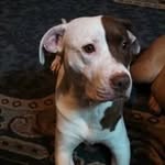 Chris Lapinski - @chrislapinski - Instagram