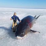 Chris LaPointe - @chris.lapointe77 - Instagram