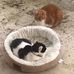 Christopher Lapp - Facebook