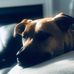 Chris Lappin - Facebook