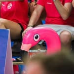 Chris la supportrice 🦩 - @chrislaqueendu31 - Instagram