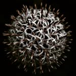 Chris Larder - @chris.larder - Instagram