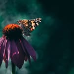 Marhie-Marhie Photography - @chris.larder1 - Instagram