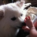 Chris Bodnar LaRochelle - @larochellec - Instagram