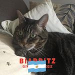 Christophe Larralde - @christophe.larralde.5 - Instagram