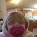 Chris Lantz - Facebook