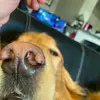 chrislaruffa - @chrislaruffa - TikTok