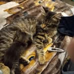 Chris Lashbrook - Facebook
