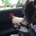 Christopher Lasher - Facebook