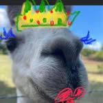 LaShomb Christley Elizabeth - @elizabethlashombchristley - Instagram