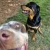 Chris Lass - Facebook