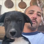Christopher Lasseter - @775basinboys - Instagram