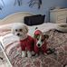 Christie Massalon Lastinger - Facebook