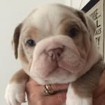 Chris Lastname - @chrislastname - Instagram