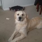chris latella - @cml1380 - Instagram