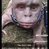 chrislatimer8 - @chrislatimer8 - TikTok