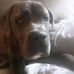 Christine Lattner - Facebook