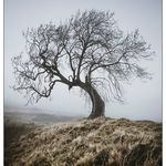 Chris Lauder, Lrps - @chrislauderphotography - Instagram