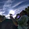 chris_lauei - @christoferscarafoni - TikTok
