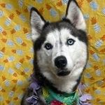 Chris Lauerman - @chris_lauerman1 - Instagram