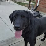 Chris Laush - @chrislaush - Instagram
