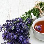 Chris Lavender - @chris.lavender.140 - Instagram