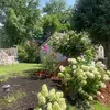 chris_lavender - @chris_lavender - TikTok