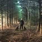 Chris Lavis - @lavis.chris - Instagram