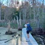Chris Lawson - @chris_lawson15 - Instagram