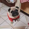 chris.lay - @chris.lay - TikTok