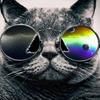 Chris - @chris.layer - TikTok
