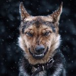 Chris Layer - @chris_layer__ - Instagram