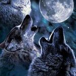 Chris Layfield - @layfield.chris - Instagram