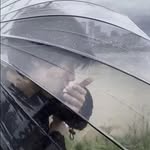 Christian Leacock - @dsyrk42qe0r1 - Instagram