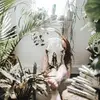 Christine Leaming - @christineleaming - TikTok