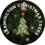 Fresh-Cut Christmas Trees - @leamingtonchristmastrees - Instagram