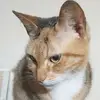 Christian Leblond - @christian.leblond - TikTok