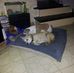 Chris Lebo - Facebook