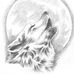 Chris Lechner - Facebook