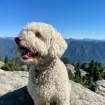 Chris Leclerc - @chris.leclerc.1969 - Instagram