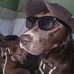 Chris Ledet - Facebook