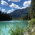 Chris Lehmann - Facebook