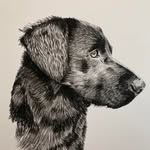Chris Leney - @leneychris - Instagram