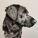 Chris Leney - @chrisjl1971 - Instagram