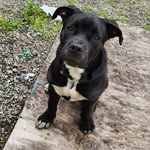 Chris Lent - @capt.c.lent - Instagram