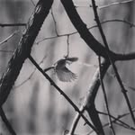 Chris Lentz - @christofotographs - Instagram