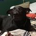 Chris Boan-Lenzo - Facebook