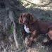 Christian Leonetti - Facebook