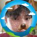 Chris Leong - Facebook
